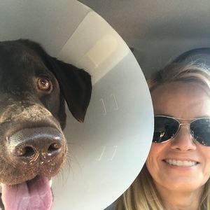 Meet your Posher, Joni